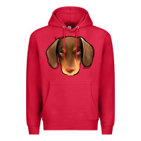 Cardinal Dachshund Premium Hoodie - Jasminsmagicworld