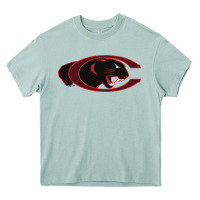 Arona claflin, education sport Heavy Core Tee - linhVisuals