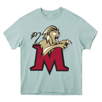 Arona lions, molloy college Heavy Core Tee - linhVisuals