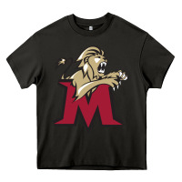 Asphalt lions, molloy college Heavy Core Tee - linhVisuals