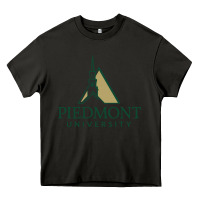 Asphalt piedmont university Heavy Core Tee - linhVisuals
