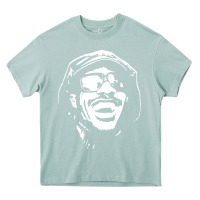 Arona stevie wonder Heavy Core Tee - linhVisuals