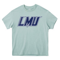 Arona lincoln memorial railsplitters Heavy Core Tee - linhVisuals