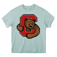 Arona The cornell big red Heavy Core Tee - linhVisuals
