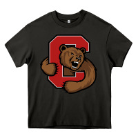 The Cornell Big Red Heavy Core Tee | Teevron