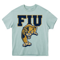 Arona The fiu panthers Heavy Core Tee - linhVisuals