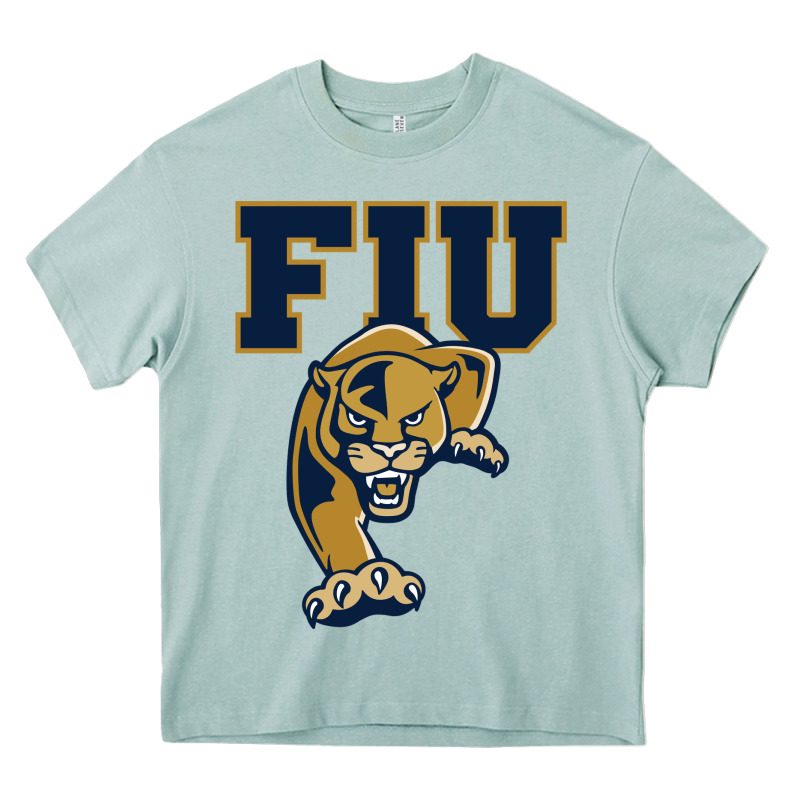 The Fiu Panthers Heavy Core Tee by linhVisuals | Teevron