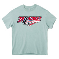 Arona Talladega Superspeedway Heavy Core Tee - linhVisuals
