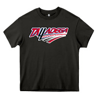 Asphalt Talladega Superspeedway Heavy Core Tee - linhVisuals
