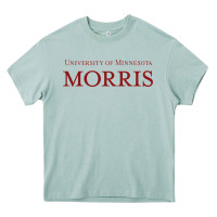 Arona university of minnesota morris Heavy Core Tee - linhVisuals