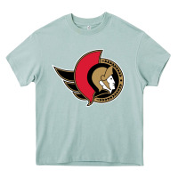 Arona the senators Heavy Core Tee - linhVisuals