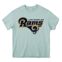 Arona rams Heavy Core Tee - linhVisuals