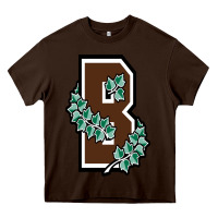 Brown University Heavy Core Tee | Teevron