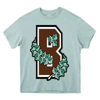 Arona brown university Heavy Core Tee - linhVisuals