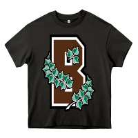 Asphalt brown university Heavy Core Tee - linhVisuals