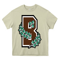 Mossy brown university Heavy Core Tee - linhVisuals