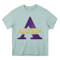 Arona alcorn state athletics Heavy Core Tee - linhVisuals