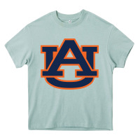 Arona auburn tigers Heavy Core Tee - linhVisuals
