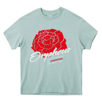 Arona hadestown Heavy Core Tee - linhVisuals