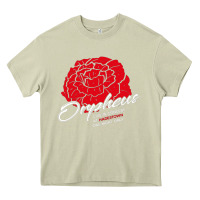 Mossy hadestown Heavy Core Tee - linhVisuals