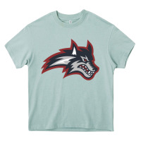 Arona stony brook seawolves Heavy Core Tee - linhVisuals