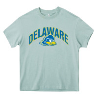 Arona delaware sportss Heavy Core Tee - linhVisuals