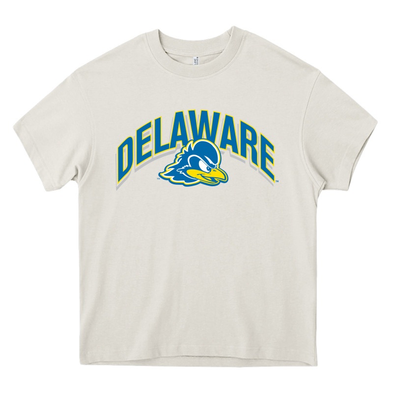 Delaware Sportss Heavy Core Tee by linhVisuals | Teevron