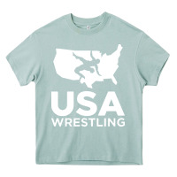 Arona usa fight Heavy Core Tee - linhVisuals
