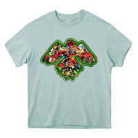 Arona christmas western thunderbird Heavy Core Tee - RanaPortraitStore