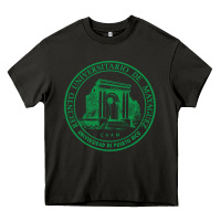 Asphalt upr at mayaguez Heavy Core Tee - linhVisuals