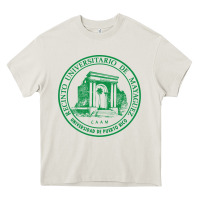 Cream upr at mayaguez Heavy Core Tee - linhVisuals