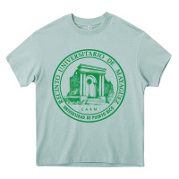 Upr At Mayaguez Heavy Core Tee | Teevron