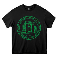 Black upr at mayaguez Heavy Core Tee - linhVisuals