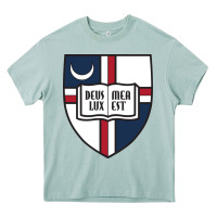 Arona university catholic Heavy Core Tee - linhVisuals