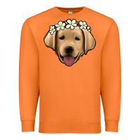 Carrot Labrador Premium Sweatshirt - Jasminsmagicworld