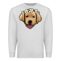 Dove Grey Labrador Premium Sweatshirt - Jasminsmagicworld