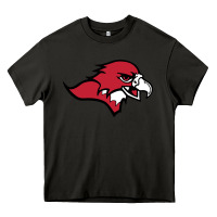 Asphalt benedictine, mesa, college Heavy Core Tee - linhVisuals