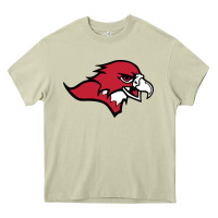 Mossy benedictine, mesa, college Heavy Core Tee - linhVisuals