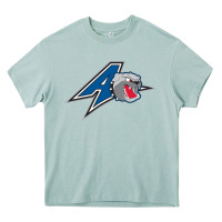 Arona unc asheville bulldogs Heavy Core Tee - linhVisuals