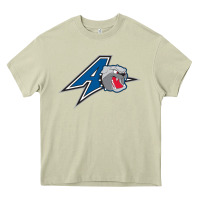 Mossy unc asheville bulldogs Heavy Core Tee - linhVisuals