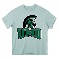 Arona university of mount olive trojan Heavy Core Tee - linhVisuals