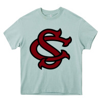 Arona usc baseball Heavy Core Tee - linhVisuals
