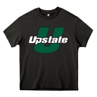 Asphalt usc upstate spartans Heavy Core Tee - linhVisuals