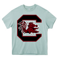 Arona the gamecocks athletics Heavy Core Tee - linhVisuals