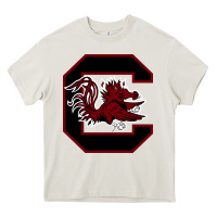 The Gamecocks Athletics Heavy Core Tee | Teevron