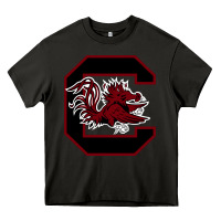Asphalt the gamecocks athletics Heavy Core Tee - linhVisuals