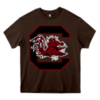 Chocolate Brown the gamecocks athletics Heavy Core Tee - linhVisuals