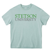 Arona Stetson University Heavy Core Tee - linhVisuals