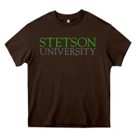 Chocolate Brown Stetson University Heavy Core Tee - linhVisuals