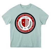 Arona Stony Brook University Heavy Core Tee - linhVisuals
